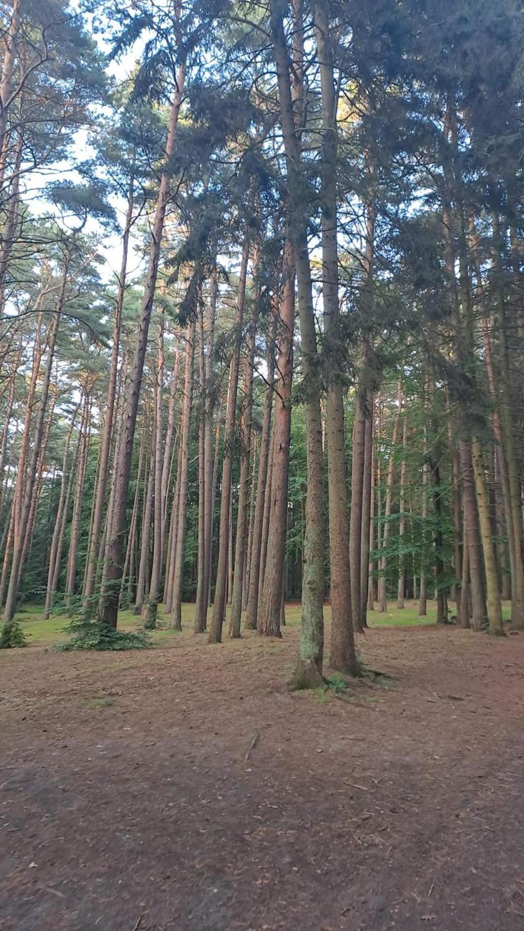 Pobierowo Baltic Apartaments D5 Luaran gambar