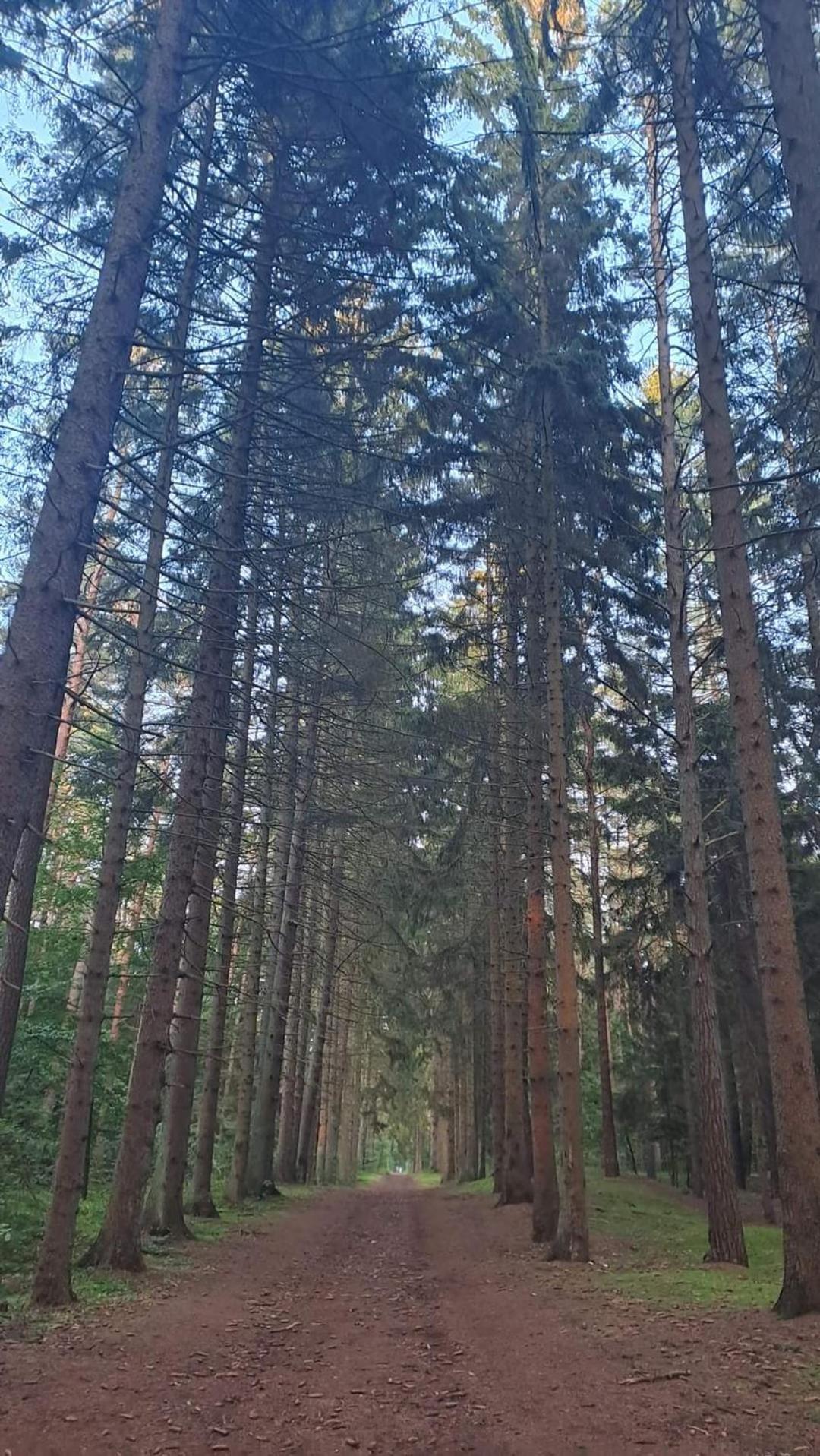 Pobierowo Baltic Apartaments D5 Luaran gambar